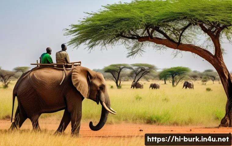 부르키나파소의 관광객을 위한 추천 루트 관련 이미지 2